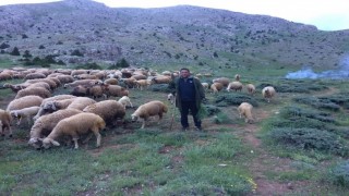 Aydında düzenlenen Yörük Çalıştayının sonuç raporu yayınlandı