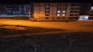 Ayı vatandaşı böyle kovaladı