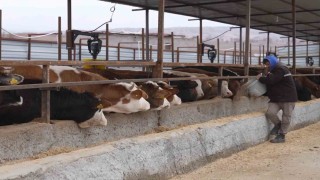 Az hayvanla başladılar, destekler sayesinde şimdi dev çiftlik kurmaya hazırlanıyorlar