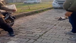 Balıkesirde köpeği motosiklete bağlayıp sürükleyen kişiye para cezası ve adli soruşturma