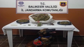 Balıkesirde uyuşturucu operasyonu