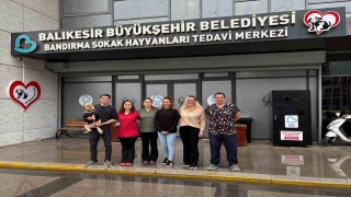 Bandırma Sokak Hayvanları Tedavi Merkezi 13 bin 459 hayvana şifa dağıttı