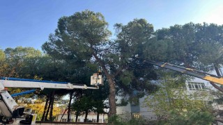 Başkan Çerçioğlu, vatandaşların talebini yerine getirdi