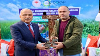 Başkan Güler: “Nitelikli tarım alanında yeşil devrim yapıyoruz”