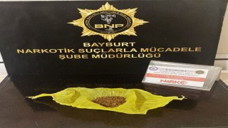 Bayburtta bir miktar bonzai ele geçirildi