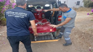 Belediyeden akülü sandalye bakım, onarım desteği