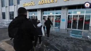 Bingölde terör operasyonunda 1 kişi tutuklandı