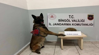 Bingölde uyuşturucu ve aranan şahıslara yönelik çalışma
