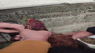 Boynuna ip bağlanan tavuğu vatandaşlar kurtardı