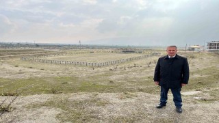 Buharkent Deve Güreşi için hazırlıklar tamamlanıyor