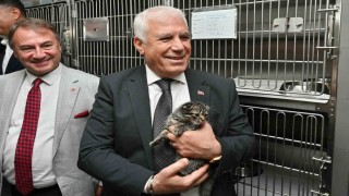 Bursa Büyükşehirden can dostlara şefkat