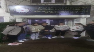 Bursada 7 kaçak göçmen yakalandı