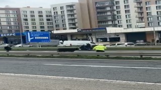 Büyükçekmecede E-5e giren dana trafiği kilitledi