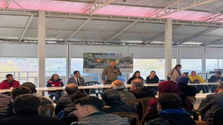 Büyükşehirden badem biti ve zeytin zararlılarıyla mücadele