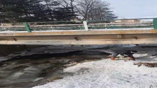 Buz tutan Çoruh Nehrinde baba ve çocuklarının yürekleri ısıtan köpek kurtarma operasyonu