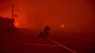 Californiada orman yangını: 3 bin 983 dönüm arazi küle döndü