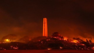 Californiada orman yangınında 4 bin 37 dönümlük alan kül oldu