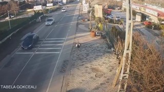 Çatalcada bir işletmeden kaçan deve kuşları ortalığı birbirine kattı