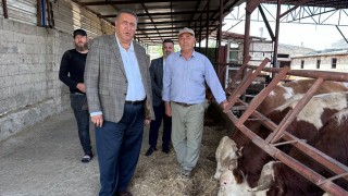 CHP’li Gürer, “Sütte Maliyetler Artıyor, Gelirler Azalıyor”