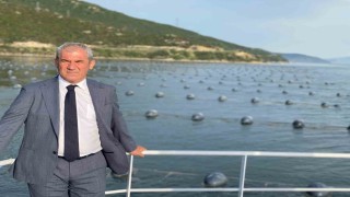 Çiftlik midyesi üretimi 4 yılda ikiye katladı hedef 50 bin ton