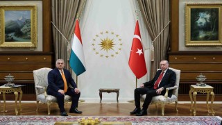 Cumhurbaşkanı Erdoğan, Macaristan Başbakanı Orban ile bir araya geldi
