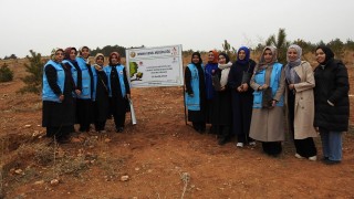 Deprem Şehitleri Anısına Hatıra Ormanı Oluşturuldu
