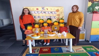 Diyadinde C Vitamini Şenliği