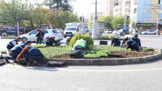 Diyarbakırda 1 milyon 152 bin bitki dikildi