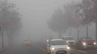 Diyarbakırda hava ve kara ulaşımına sis engeli