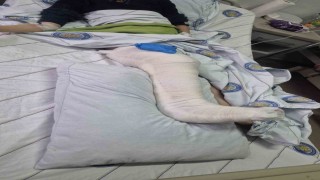 Diyarbakırda köpeklerden kaçan çocuğun bacağı kırıldı