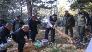 Doğada aç kalan yaban hayvanları için yem bıraktılar