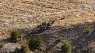 Domuz sürüsü dron ile görüntülendi
