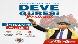 Efelerde deve güreşi heyecanı