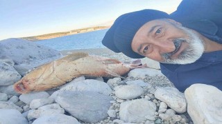 Elazığda amatör balıkçı 24 kiloluk sazan yakaladı