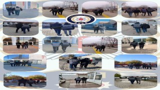 Elazığda kesinleşmiş hapis cezası bulunan 105 zanlı yakalandı