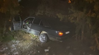 Elazığda otomobil, ağaçlara çarptı: 4 yaralı