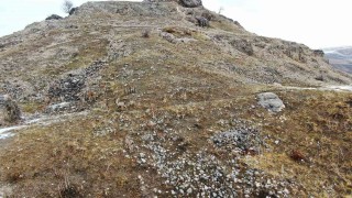 Elazığdaki Palu Kalesinde dağ keçileri dronla havadan görüntülendi