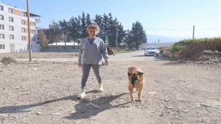 Enkazda sahibinin cansız bedenini bulmuştu, aileye hatıra kalan Maxa gözü gibi bakıyorlar