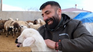 Erzincanda yılın son kuzuları üreticilerin yüzünü güldürdü
