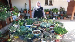 Evinin her tarafında çiçek eken kadın, 500ten fazla farklı çiçek yetiştirmeyi başardı