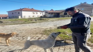 Gedizde Özel İdare çalışanlarından örnek davranış