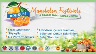 Geleneksel Bodrum Mandalin Festivali başlıyor