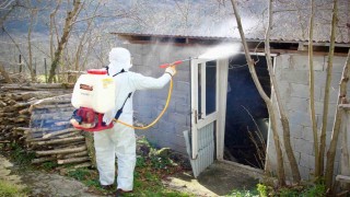 Giresun Belediyesi, kokarca ile mücadelede ilaçlama desteği veriyor