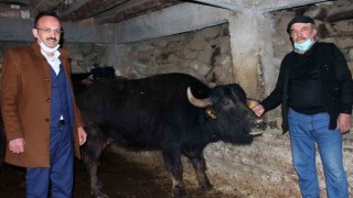 Giresunda 289 manda işletmesine 8 milyon 422 bin 600 TL destek ödemesi yapıldı