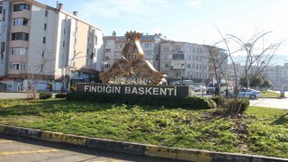 Giresunda kavşaklar fındık ağaçları ile süslenecek