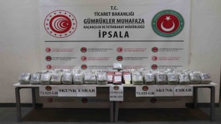 Gümrük Muhafaza ekipleri İpsala ve Esendere Gümrük Kapısında zehir tacirlerine geçit vermedi