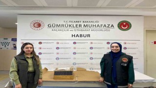 Habur Sınır Kapısında 3 maymun yakalandı