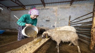 Hadi Gel Köyümüze Geri Dönelim projesi bir genci deha üretime kazandırdı