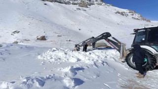 Hakkari 3 bin 500 rakımda zorlu çalışma