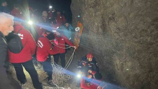 Hakkaride arıcılık yapan adam dağdan düşerek hayatını kaybetti